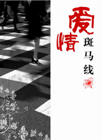 麻豆精品国产传媒mv男同